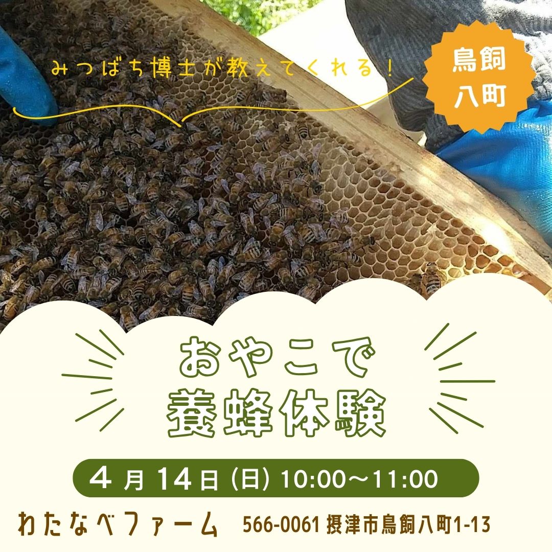 ミツバチ博士がやってくる！おやこで養蜂体験