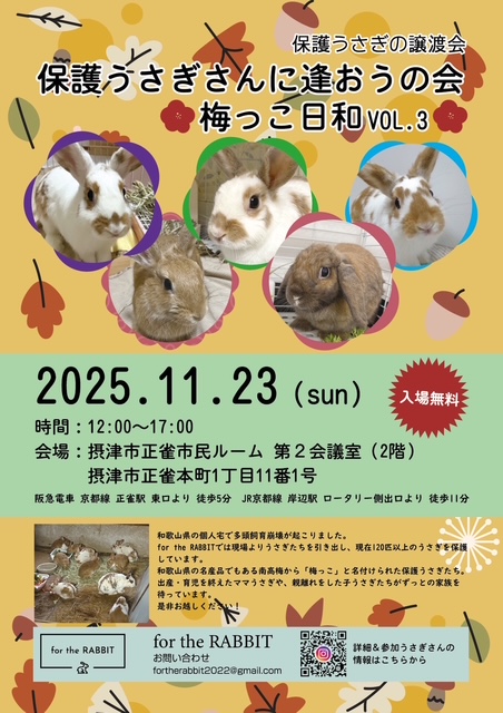 保護うさぎさんに逢おうの会～梅っこ日和VOL.3