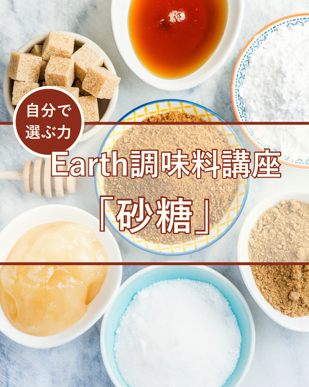 ◎2月12日（木）第一回調味料講座『砂糖』