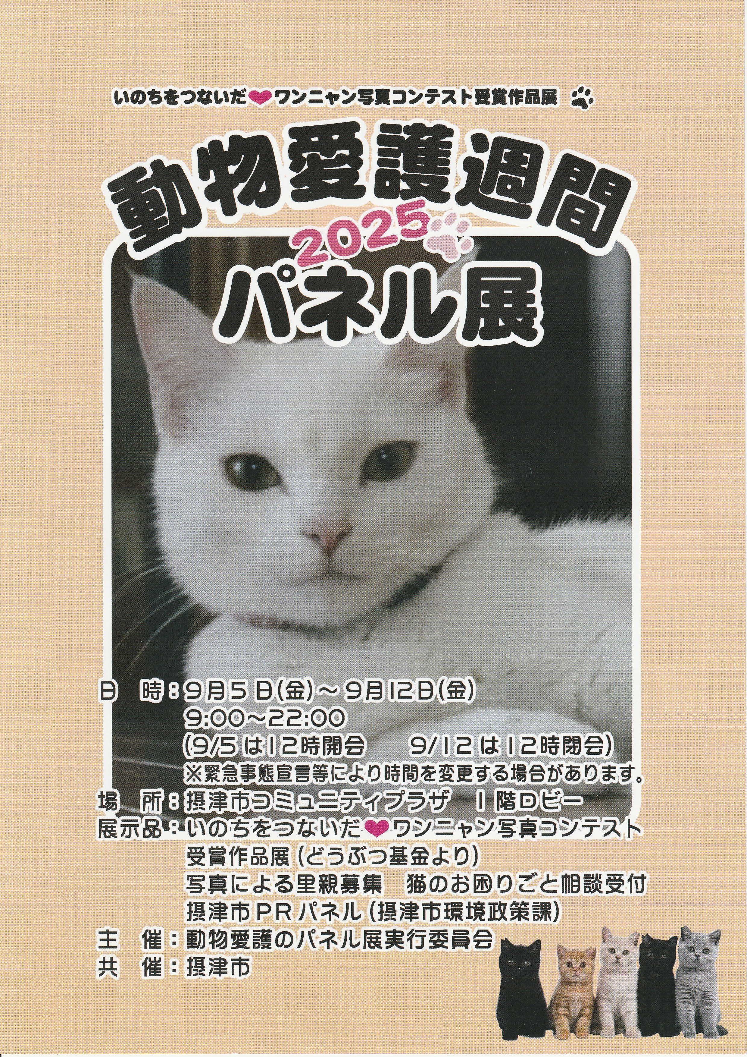 動物愛護週間　2025パネル展